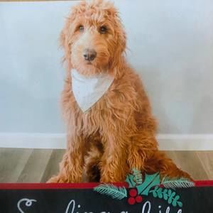 Meet your Posher, Colleen